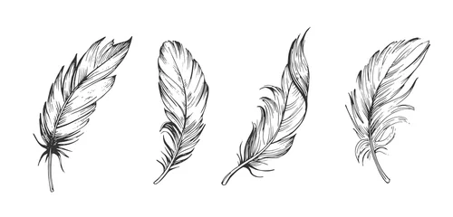 Satz Vogelfedern. Handgezeichnete Illustration in Vektor umgewandelt. Umriss mit transparentem Hintergrund © aksol