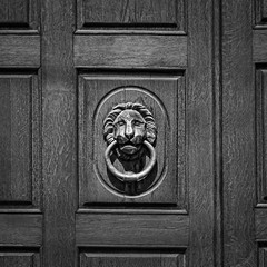 Fototapeta premium Door knocker with lion. wooden door lion lock. Decorative door handle in form of bronze lion head on old wooden entrance door. Concept for antique, gothic, mistery. black and white color