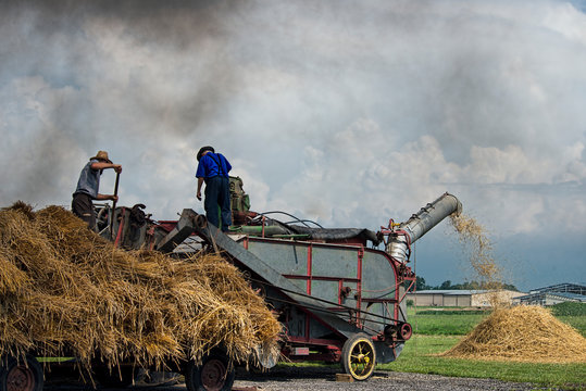 Feeding The Threshing Machine