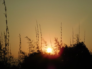 Fototapeta premium Sunrise beauty