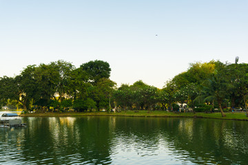 City public park with modern building Lumpini park
