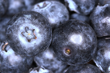 Blueberries in closeup