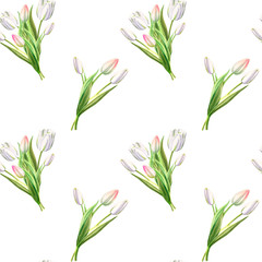 Fototapeta na wymiar Seamless pattern from beautiful white tulips. Floral collection. Marker drawing. Watercolor painting. Floral composition of design elements. Greeting card. Painted background. Hand drawn illustration.