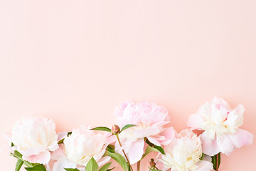 Flat lay pattern with light pink peonies on a pink background