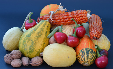 Verdura e frutta fresca appena raccolta