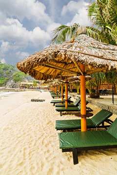 Sandy island sea amazing beach palm trees