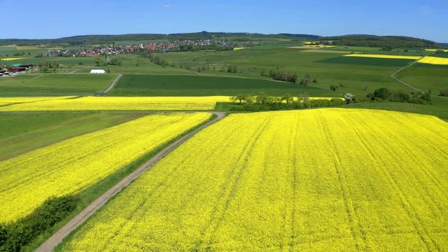 Aerial view, flight over agriculture with cereal fields and rapeseed cultivation, Usingen, Schwalbach, Hochtaunuskreis, Hesse, Germany
