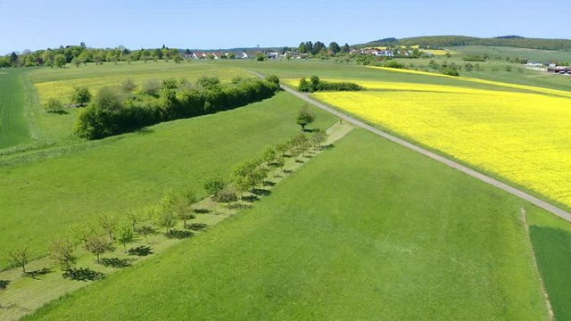 Aerial view, flight over agriculture with cereal fields and rapeseed cultivation, Usingen, Schwalbach, Hochtaunuskreis, Hesse, Germany