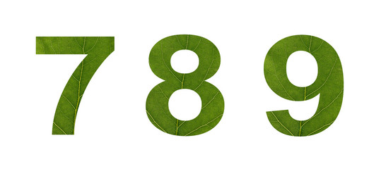 Numbers from green leaves on a white isolated background. Macro shooting. Concept: ecology