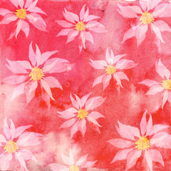 Watercolor Poinsettia Background Pink