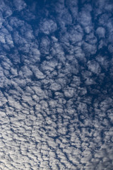 Blue sky with white clouds. Blue sky with cirrocumulus clouds.