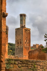 Ancient ruins in Necropolis of Cellah in Rabat, Morocco