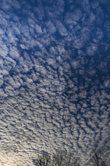 Blue sky with white clouds. Blue sky with cirrocumulus clouds.