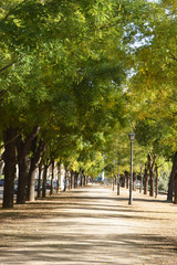 Naklejka premium Panorama of Madrid Rio, Madrid, Spain