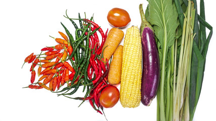 Fresh vegetables with white background. Chili, corn, eggplant, mustard greens, carrots, tomatoes, cucumbers