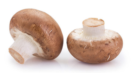 Fresh mushrooms on white background