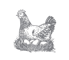 Fototapeta na wymiar Chicken farm with eggs. Hen and eggs