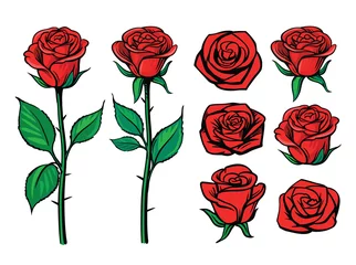 Fototapete Blumen Rosenblütenset. Blumendekoration, Valentinsgrußkarte