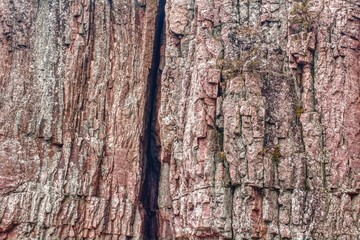 Palisades is a State Park in South East South Dakota that is Rich in Sioux Quartzite