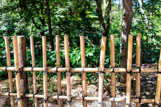 Tokyo, Japan Meiji shrine closeup of tied bamboo wooden fence with strings and green tree foliage by forest on sunny day