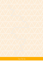 Find the hidden shape