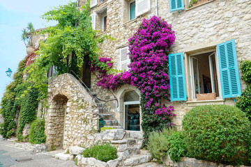 Vibrant green ivy and purple flowers grow over medieval stone building in France