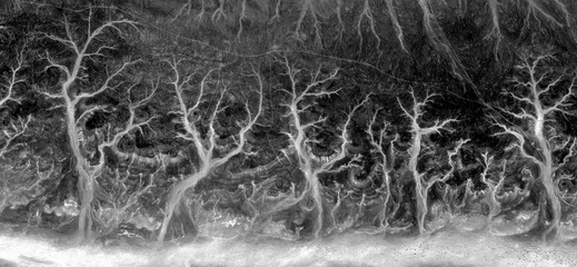 abstract naturalism, Black and white photo, abstract photography of landscapes of the deserts of...