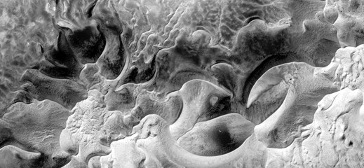 elephant graveyard,  abstract naturalism, Black and white photo, abstract photography of landscapes...