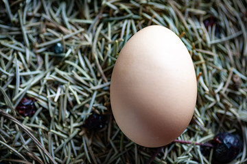 chicken eggs basket on the hey