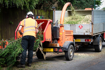 Male Arborist using a working wood chipper machine.The tree surgeon is wearing a safety helmet with a visor and ear protectors.