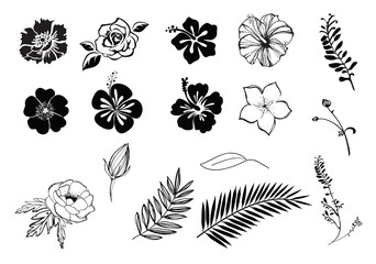 Flowers hibiscus, plumeria, rose, anemone silhouette black and white, isolated.