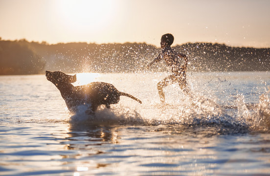A boy runs with the dog in the lake, splashing the water around. Playful, happy childhood moments. The silhouette is reflecting on the water. Beautiful sunny summer day.