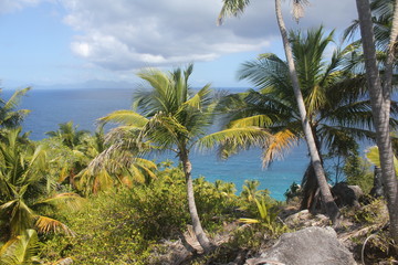 private island tropical beach