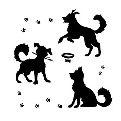 Vector set of dogs silhouette with paw prints and collar. Isolated objects on white background.