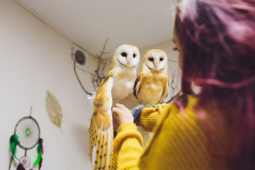 The owl sits on the girl's hand. The woman with the owl.