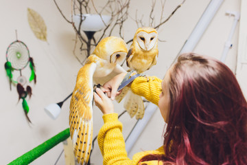 The owl sits on the girl's hand. The woman with the owl.