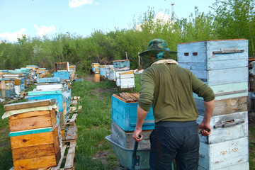 a man in a beekeeper's mask carries a beehive with bees along the apiary’s site to another place...