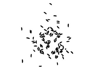 White rice in black on white background. Organic texture. Silhouette of rice flakes, spread on the flat surface or table. Top view. Vector.