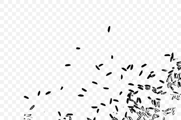 Concept of simple rice grain random thrown pattern on transparent background from top view. Traditional wealth and happiness symbol illustration. Vector.