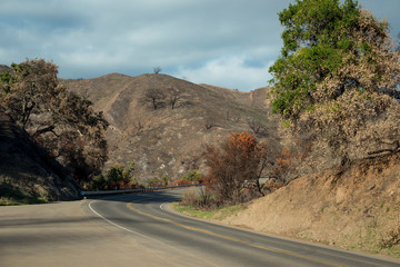 INCENDI IN CALIFORNIA