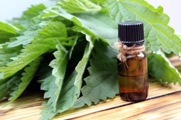 Bottle of nettle oil on the table