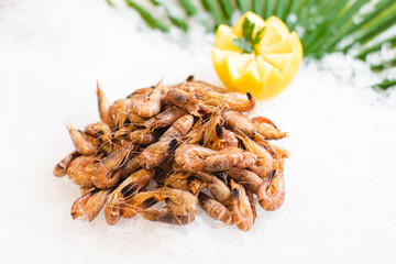Crevettes grises