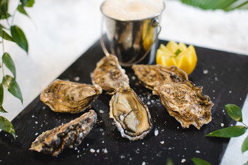 Plateau d'huitres 