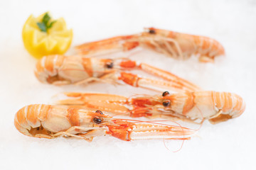 Langoustines cuites