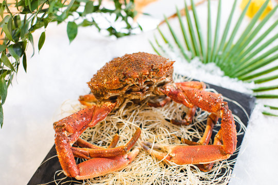 Araign&eacute;e de Mer