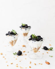Fresh Blackberries on Top of Granola and Yogurt Parfait On Light Background, Space For Text
