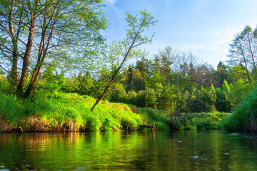 Fototapeta na wymiar Spring river. Green nature landscape on riverbank. Scenic riverside with green trees