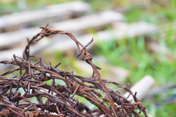 old barbed wire