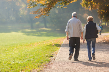 Senior citizen couple taking a walk in a park during autumn morning. - obrazy, fototapety, plakaty