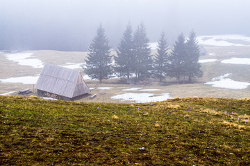 Kalatowki, Zakopane, Poland. Views on clearing during foggy and wet day.